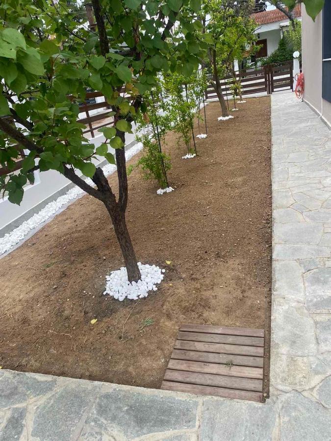 R Lux Villa Nea Kallikrateia Exteriér fotografie